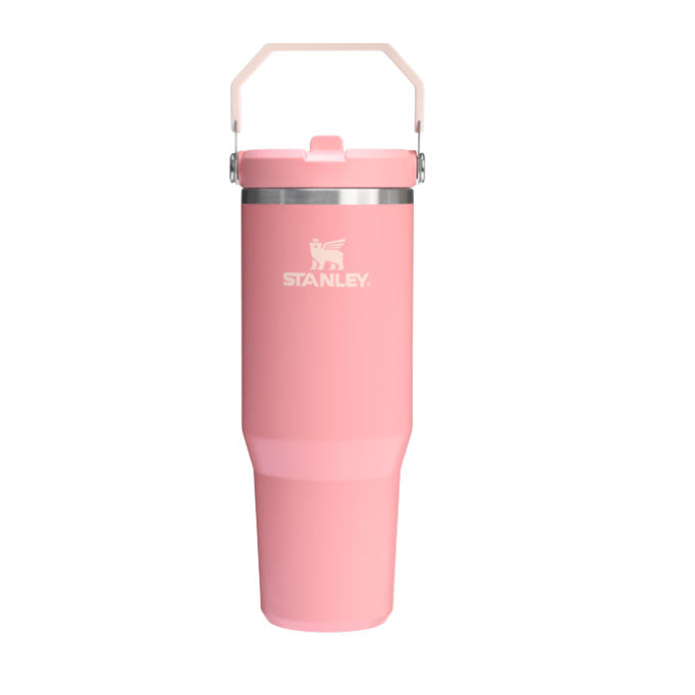 Stanley IceFlow™ Flip Straw Tumbler 30oz | Desert Heritage Collection