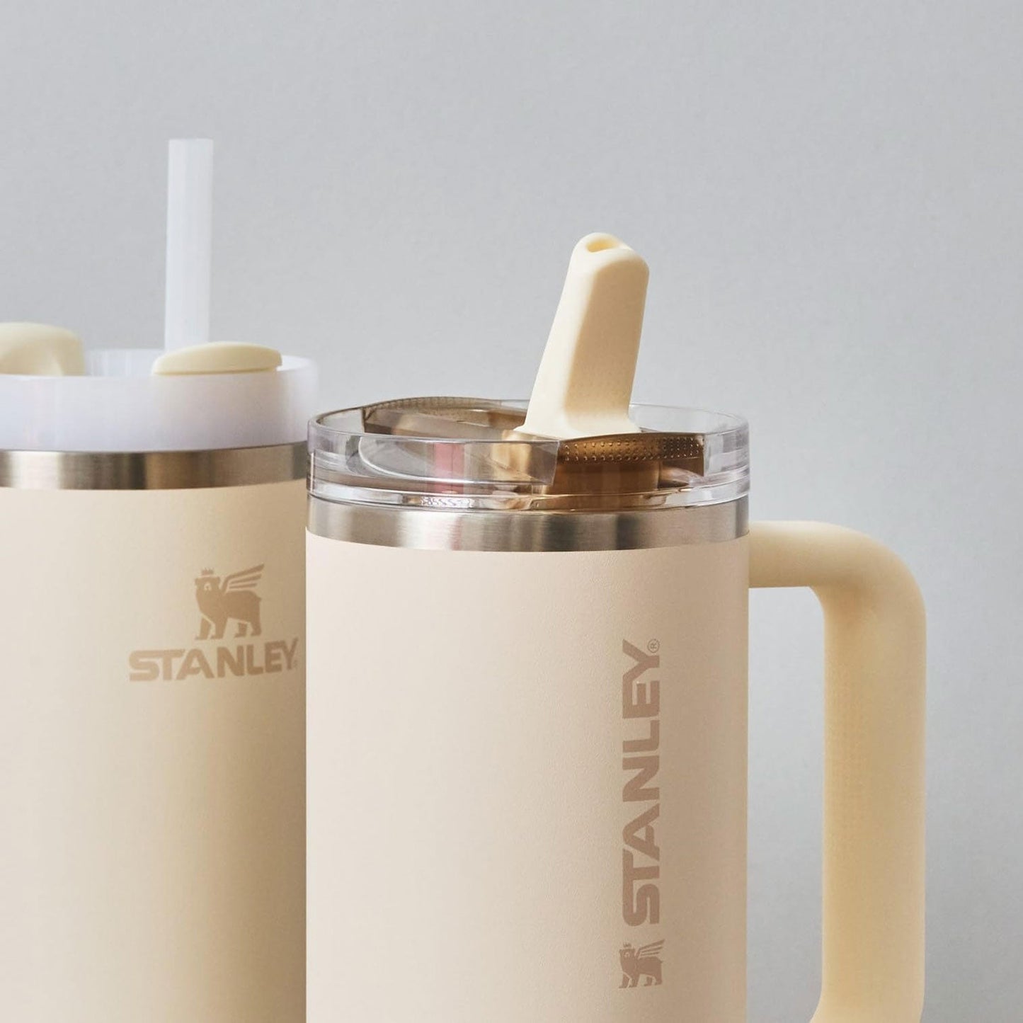 Stanley  Quencher® Protour Flip Straw Tumbler 30oz | Desert Heritage Collection